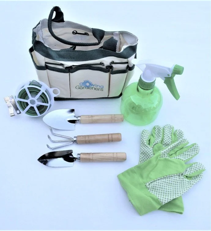 J.GARDEN J庭 ベルトゥーン beltoon ポストカード　７枚セット J.GARDEN J庭 ベルトゥーン beltoon ポストカード 7枚セット